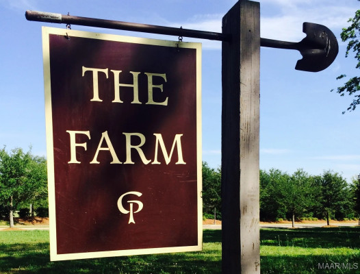 3900 TURNING LEAF Loop