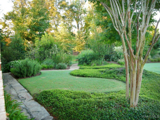 3900 TURNING LEAF Loop