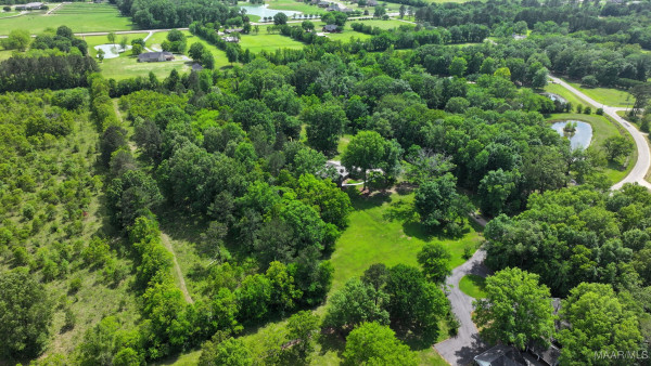 838 Williamsburg Drive