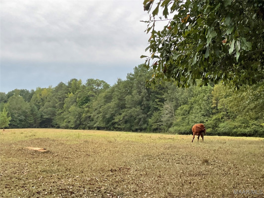 1355 OAK VALLEY Road