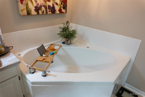 485 Spring Hollow Drive