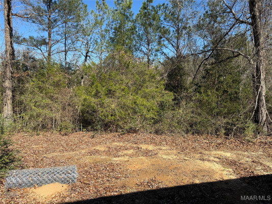 4504 Tall Pines Drive