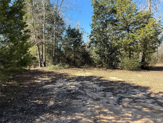 4504 Tall Pines Drive