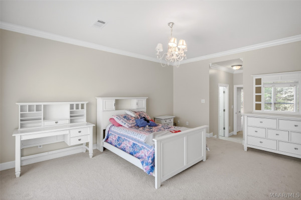 8411 TIMBER CREEK Drive