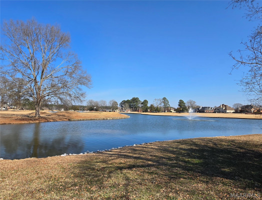 416 Towne Lake Drive