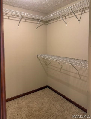 521 NEW BINGHAM Drive