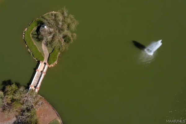 8307 Young Crossing .