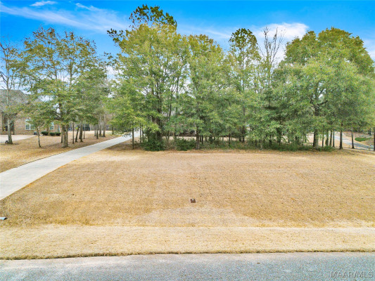 2024 Red Hawk Road