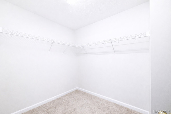 3936 CLAIBORNE Circle