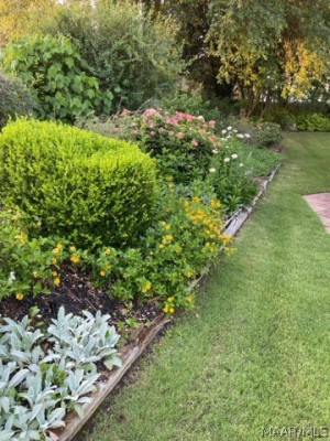 4485 White Acres Road