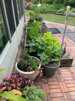 4485 White Acres Road