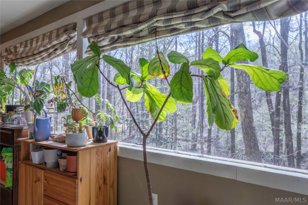 427 Busch Hill Drive