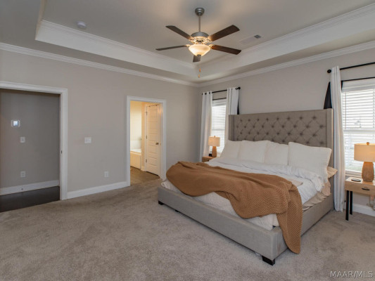 509 Pointer Place