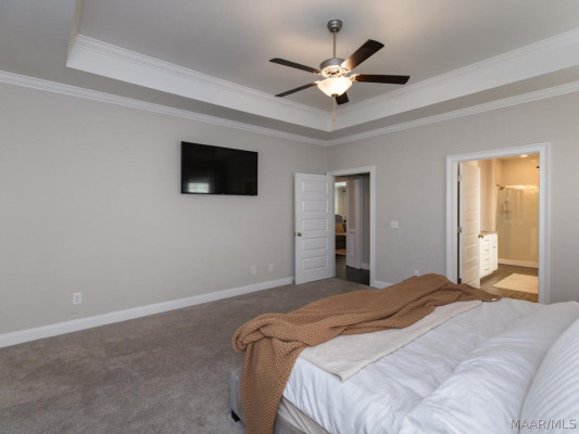 509 Pointer Place