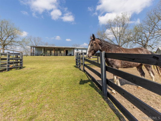 398 Abrams Road