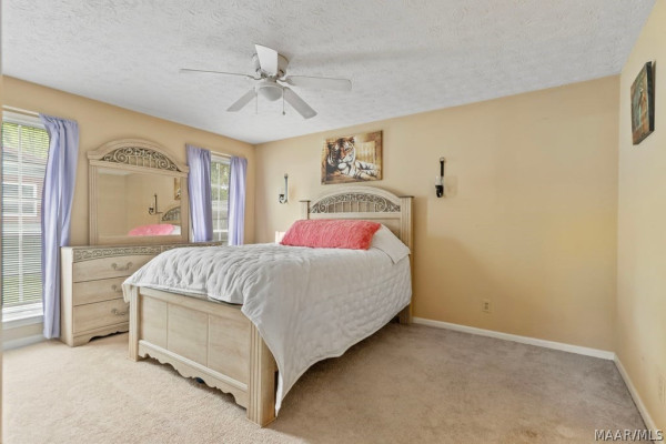 7233 Brampton Lane