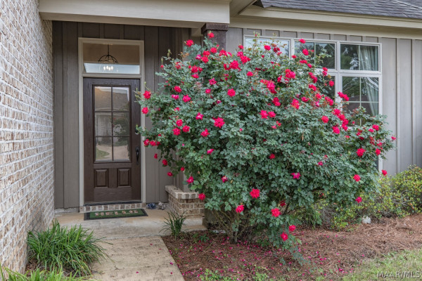9403 Crescent Lodge Circle