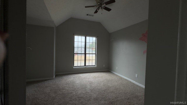 113 Shady Oak Lane