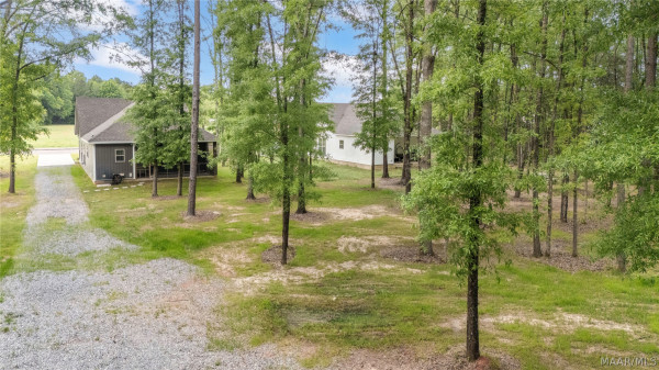 907 Micanopy Street