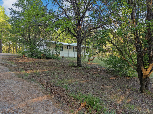 25 County Road 569 Road