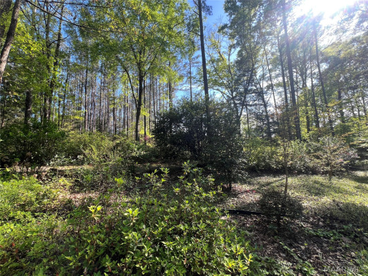 78715 Tallassee Highway