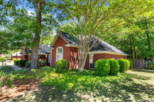 566 FOREST Trail