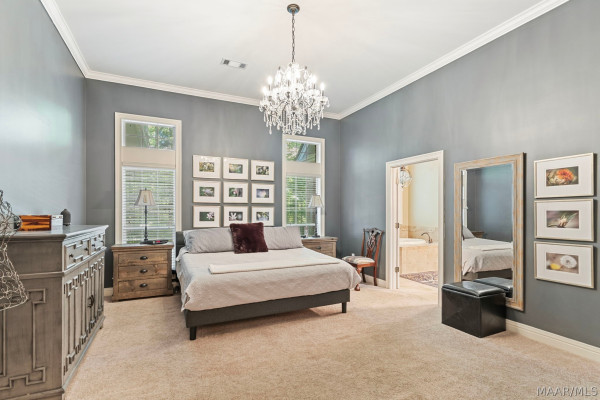 566 FOREST Trail