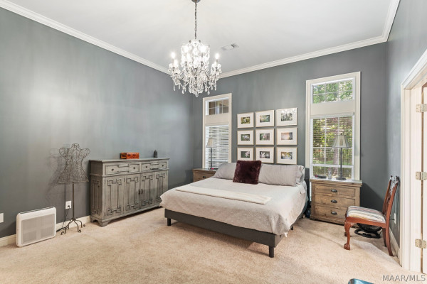 566 FOREST Trail