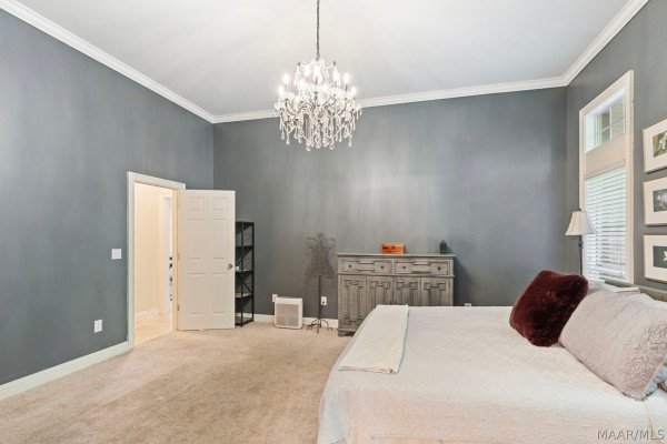 566 FOREST Trail