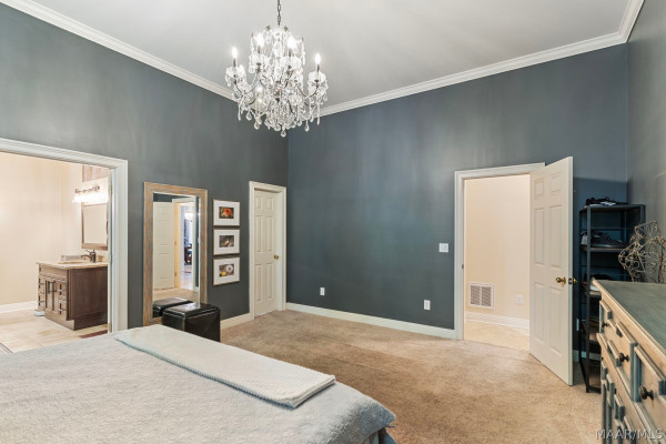 566 FOREST Trail