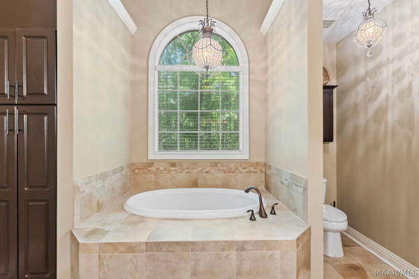 566 FOREST Trail