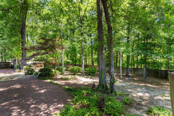566 FOREST Trail