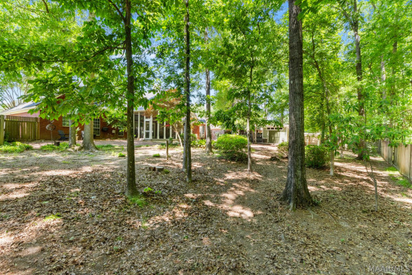 566 FOREST Trail