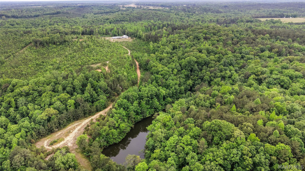 669 Gold Mine Branch Road