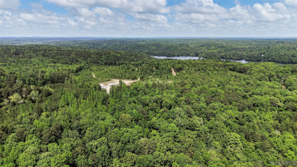 669 Gold Mine Branch Road