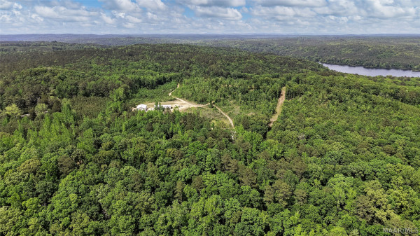 669 Gold Mine Branch Road
