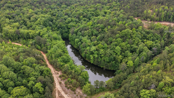 669 Gold Mine Branch Road