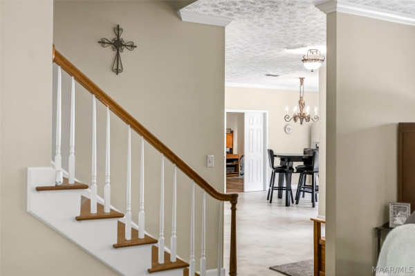 8131 Dogwood Lane