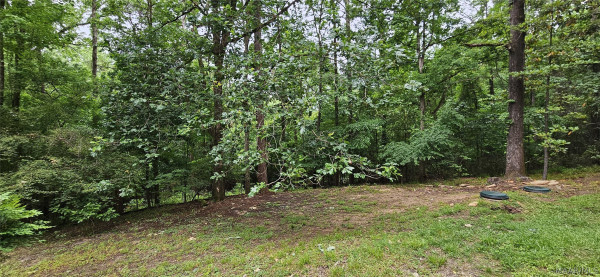 85 Jasmine Court