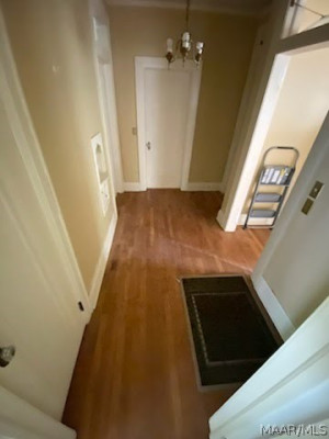 3325 Lexington Road