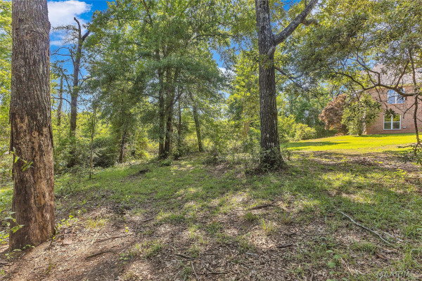 221 Doe Drive