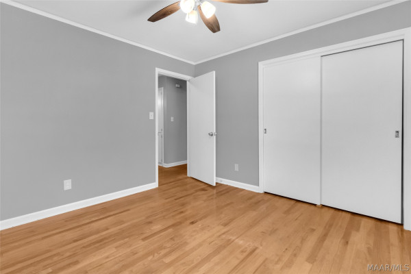2663 CLEMENT Curve