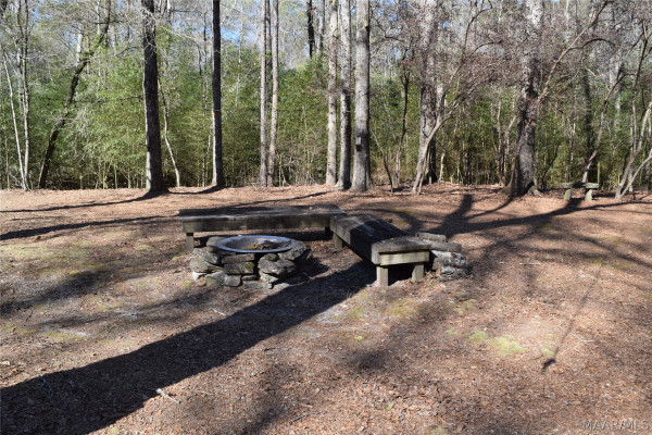 897 Mullins Road