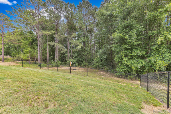 244 Shadow Wood Lane