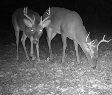 2797 County Road 131 .