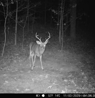 2797 County Road 131 .