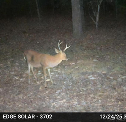 2797 County Road 131 .