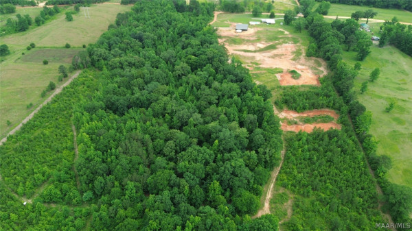 2797 County Road 131 .
