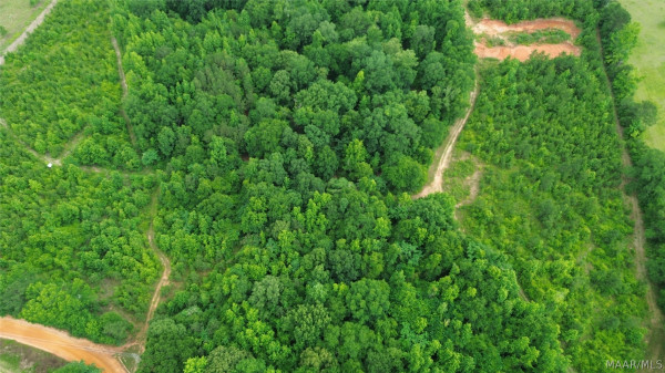 2797 County Road 131 .