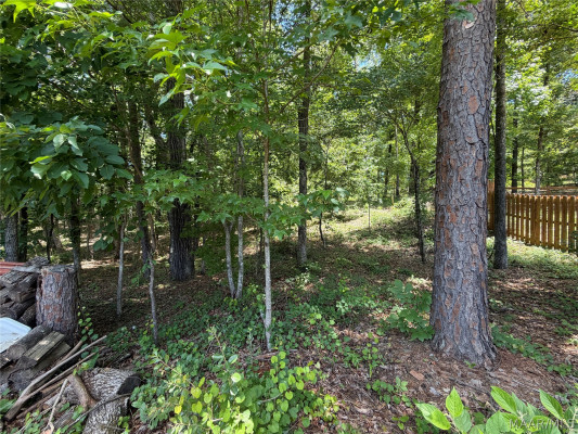246 N Mountain Laurel Ridge